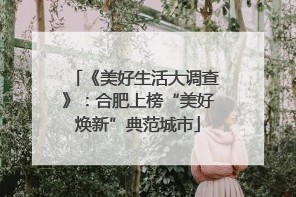 《美好生活大调查》：合肥上榜“美好焕新”典范城市