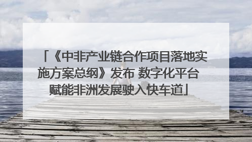 《中非产业链合作项目落地实施方案总纲》发布 数字化平台赋能非洲发展驶入快车道