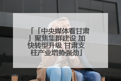 「中央媒体看甘肃」聚焦集群建设 加快转型升级 甘肃支柱产业增势强劲