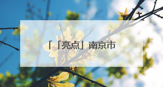 「亮点」南京市江宁区：让新兴领域发展跑出 “红色加速度”