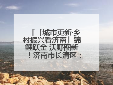 「城市更新·乡村振兴看济南」锦鲤跃金 沃野图新！济南市长清区：小锦鲤大产业 游出农旅新风景