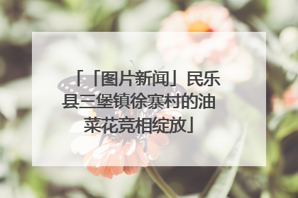 「图片新闻」民乐县三堡镇徐寨村的油菜花竞相绽放