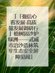 「强信心 看发展·高质量发展调研行」植树固沙护绿洲——武威市治沙造林筑牢生态安全屏障见闻