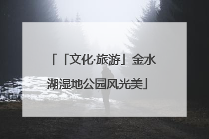 「文化·旅游」金水湖湿地公园风光美