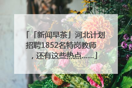 「新闻早茶」河北计划招聘1852名特岗教师，还有这些热点……
