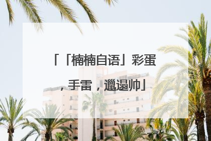 「楠楠自语」彩蛋，手雷，邋遢帅