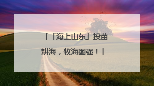 「海上山东」投苗耕海，牧海图强！