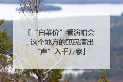 “白菜价”看演唱会，这个地方的惠民演出“声”入千万家
