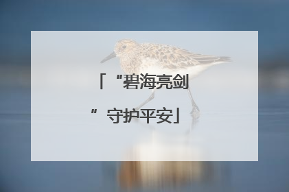 “碧海亮剑”守护平安