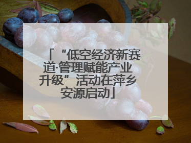 “低空经济新赛道·管理赋能产业升级”活动在萍乡安源启动