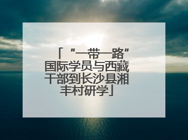 “一带一路”国际学员与西藏干部到长沙县湘丰村研学