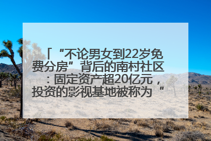 “不论男女到22岁免费分房”背后的南村社区：固定资产超20亿元，投资的影视基地被称为“山村好莱坞”