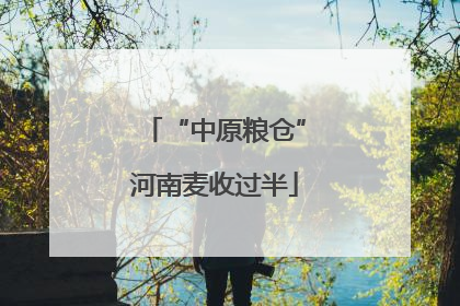 “中原粮仓”河南麦收过半