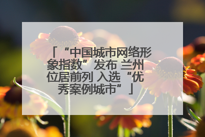 “中国城市网络形象指数”发布 兰州位居前列 入选“优秀案例城市”