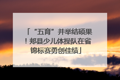 “五育”并举结硕果！郏县少儿体操队在省锦标赛勇创佳绩