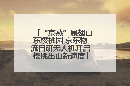 “京燕”展翅山东樱桃园 京东物流自研无人机开启樱桃出山新速度