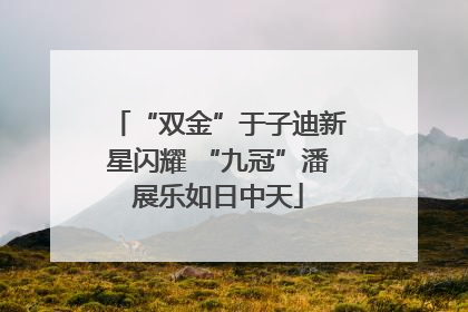“双金”于子迪新星闪耀 “九冠”潘展乐如日中天