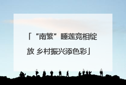 “南繁”睡莲竞相绽放 乡村振兴添色彩