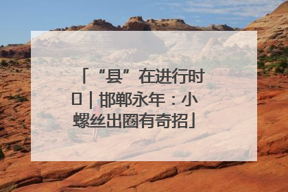 “县”在进行时⑬｜邯郸永年：小螺丝出圈有奇招