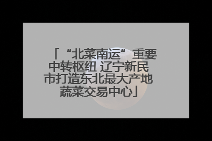 “北菜南运”重要中转枢纽 辽宁新民市打造东北最大产地蔬菜交易中心