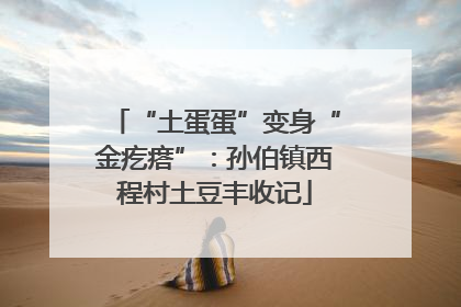 “土蛋蛋”变身“金疙瘩”：孙伯镇西程村土豆丰收记
