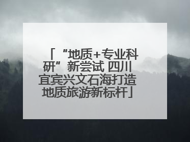 “地质+专业科研”新尝试 四川宜宾兴文石海打造地质旅游新标杆