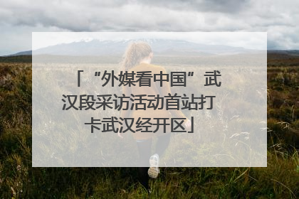 “外媒看中国”武汉段采访活动首站打卡武汉经开区