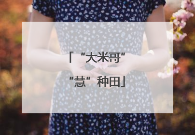 “大米哥”“慧”种田