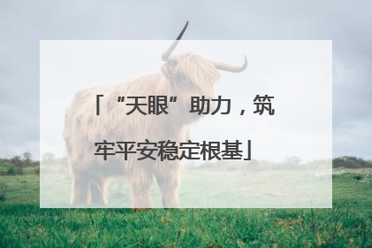 “天眼”助力，筑牢平安稳定根基