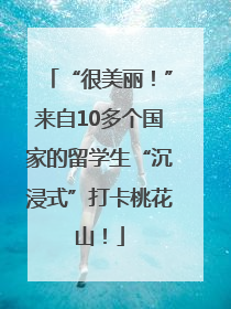 “很美丽！”来自10多个国家的留学生“沉浸式”打卡桃花山！