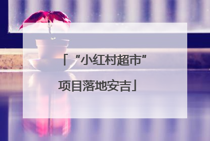 “小红村超市”项目落地安吉