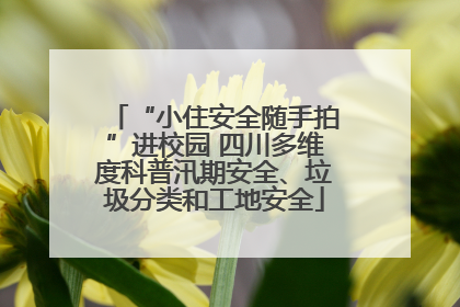 “小住安全随手拍”进校园 四川多维度科普汛期安全、垃圾分类和工地安全