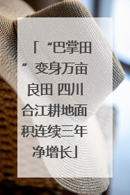 “巴掌田”变身万亩良田 四川合江耕地面积连续三年净增长