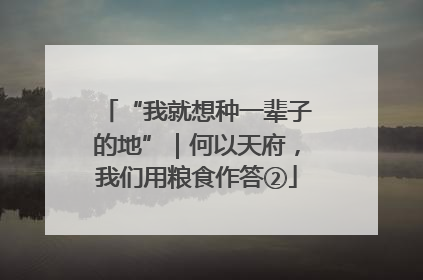 “我就想种一辈子的地”｜何以天府，我们用粮食作答②