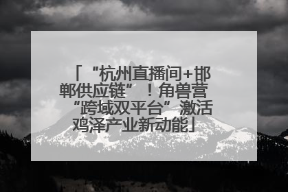 “杭州直播间+邯郸供应链”！角兽营“跨域双平台”激活鸡泽产业新动能