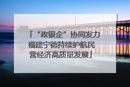 “政银企”协同发力 福建宁德持续护航民营经济高质量发展