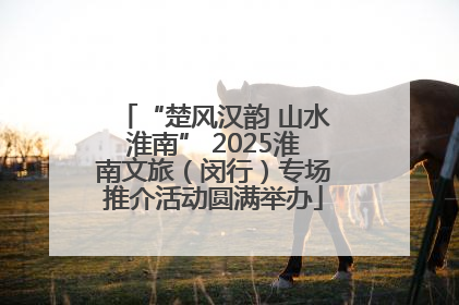 “楚风汉韵 山水淮南” 2025淮南文旅（闵行）专场推介活动圆满举办