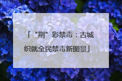 “荆”彩禁毒：古城织就全民禁毒新图景