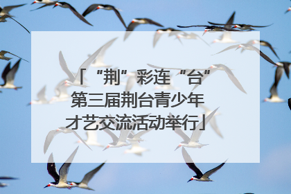 “荆”彩连“台” 第三届荆台青少年才艺交流活动举行