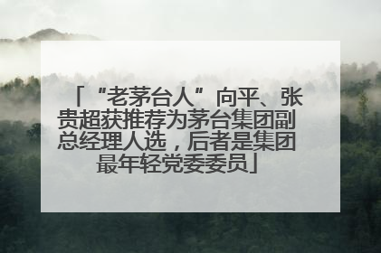 “老茅台人”向平、张贵超获推荐为茅台集团副总经理人选，后者是集团最年轻党委委员