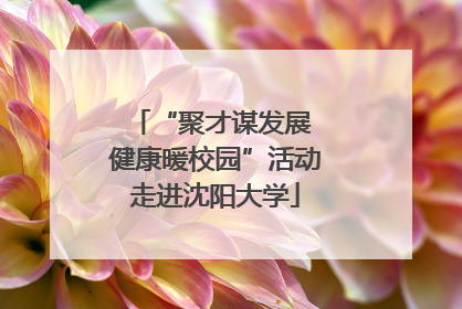 “聚才谋发展 健康暖校园”活动走进沈阳大学