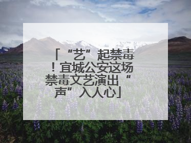 “艺”起禁毒！宜城公安这场禁毒文艺演出“声”入人心