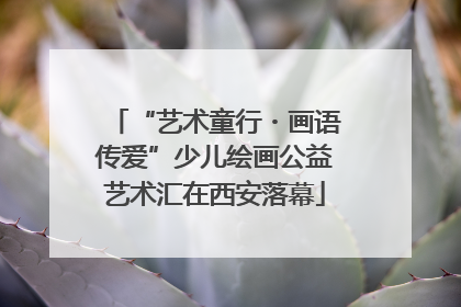 “艺术童行・画语传爱”少儿绘画公益艺术汇在西安落幕