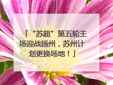 “苏超”第五轮主场迎战扬州，苏州计划更换场地！