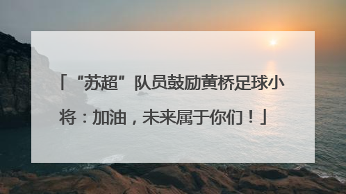 “苏超”队员鼓励黄桥足球小将：加油，未来属于你们！