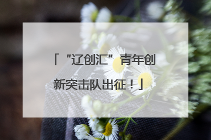 “辽创汇”青年创新突击队出征！
