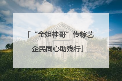 “金姐桂哥”传粽艺 企民同心助残行