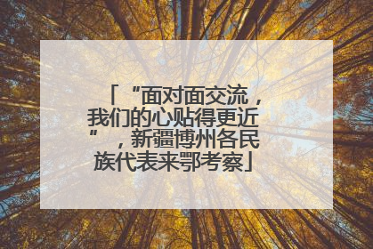 “面对面交流，我们的心贴得更近”，新疆博州各民族代表来鄂考察