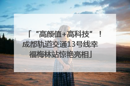 “高颜值+高科技”！成都轨道交通13号线幸福梅林站惊艳亮相