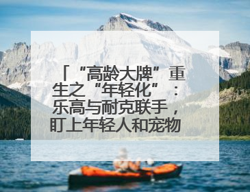 “高龄大牌”重生之“年轻化”：乐高与耐克联手，盯上年轻人和宠物的钱包